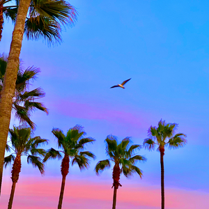 成人免费毛片❌❌❌嘿嘿连载视频
