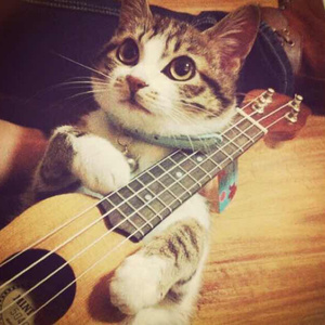 成人免费毛片❌❌❌嘿嘿连载视频
