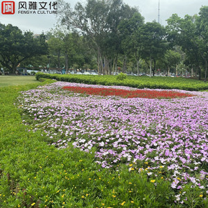 成人免费毛片❌❌❌嘿嘿连载视频
